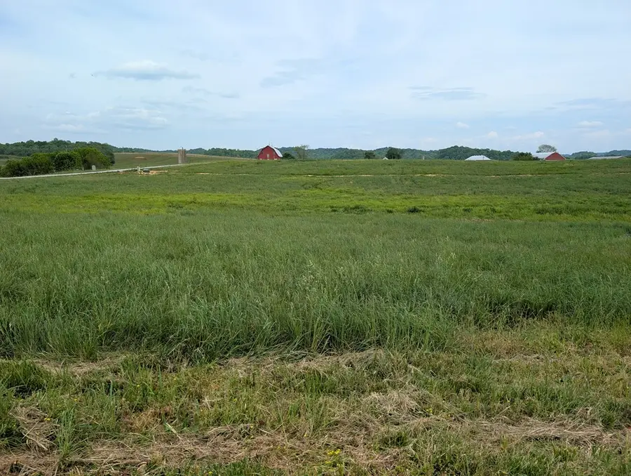 16 Rivertown Rd, Burkesville, KY 42717 - #2