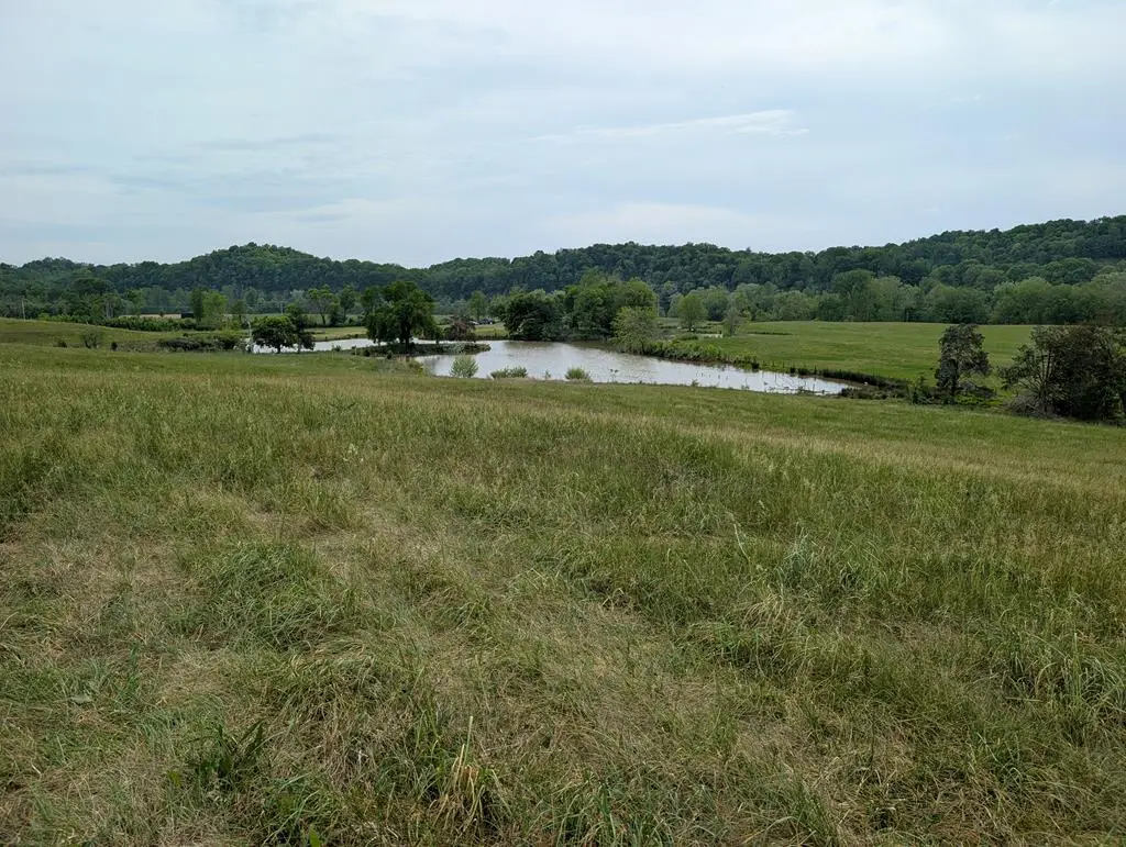 17 Rivertown Rd, Burkesville, KY 42717 - #1