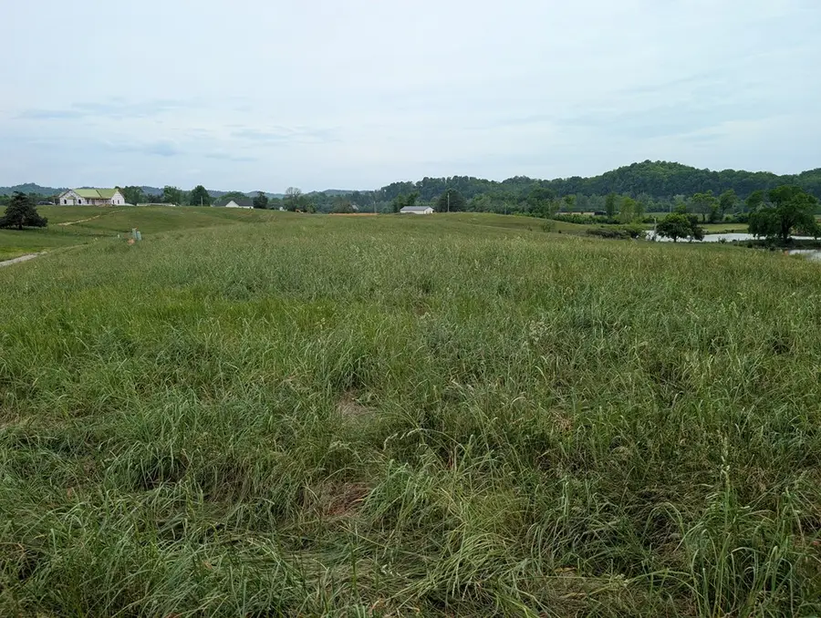 17 Rivertown Rd, Burkesville, KY 42717 - #2