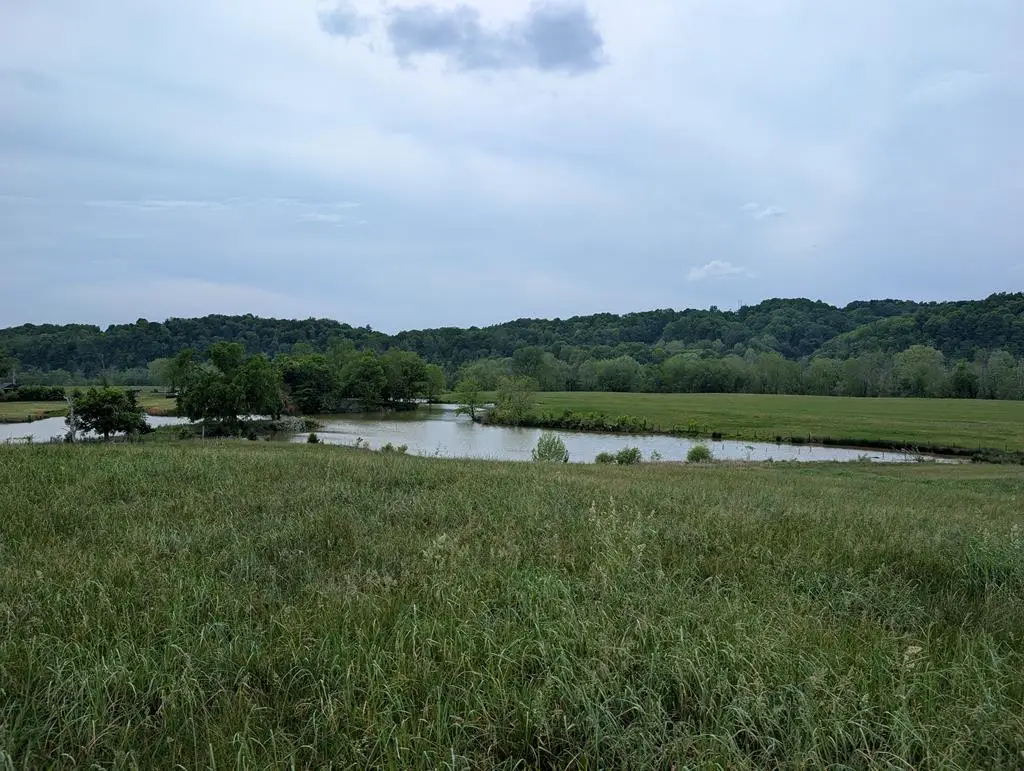 18 Rivertown Rd, Burkesville, KY 42717 - #1