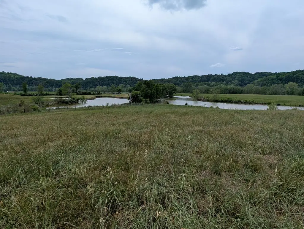 19 Rivertown Rd, Burkesville, KY 42717 - #1