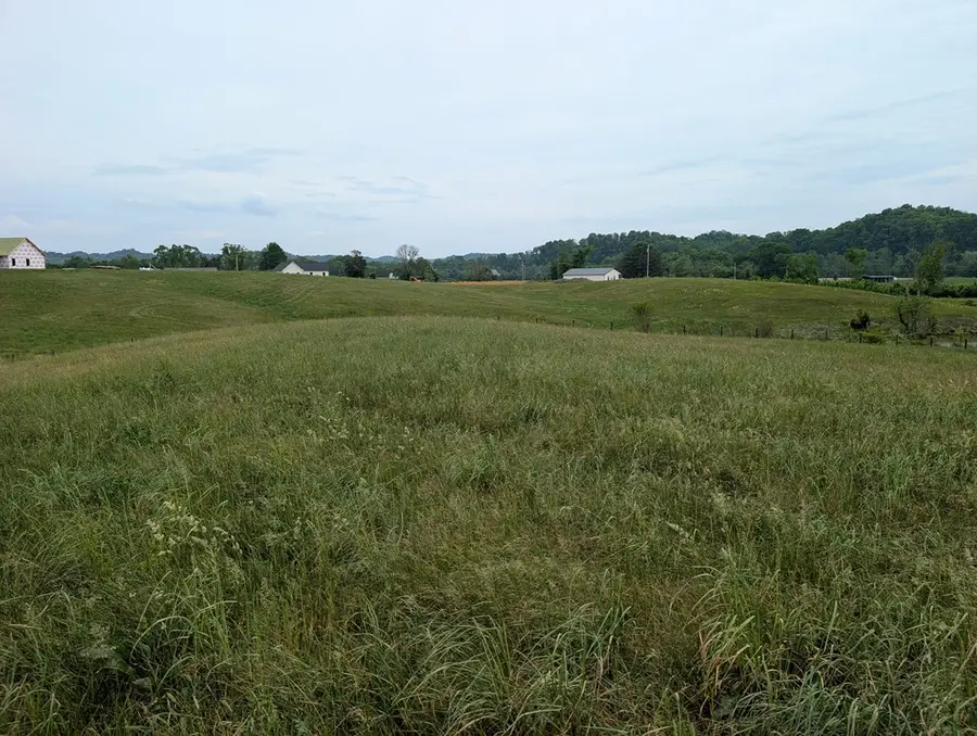 19 Rivertown Rd, Burkesville, KY 42717 - #2