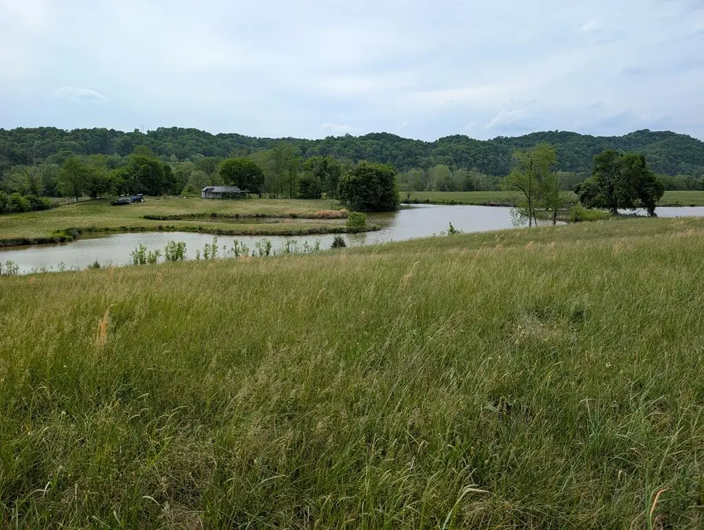 20 Rivertown Rd, Burkesville, KY 42717 - #1