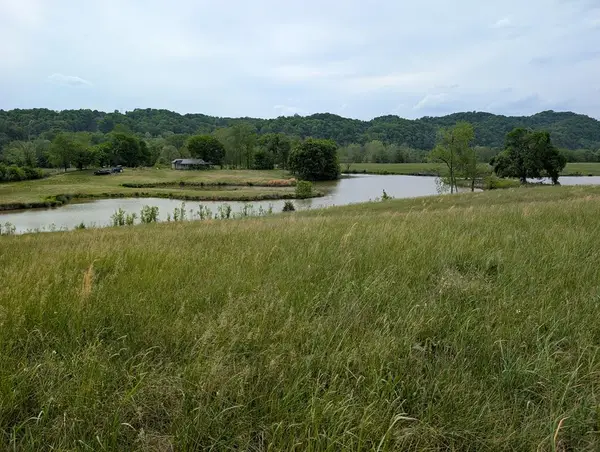 20 Rivertown Rd, BURKESVILLE, KY 42717