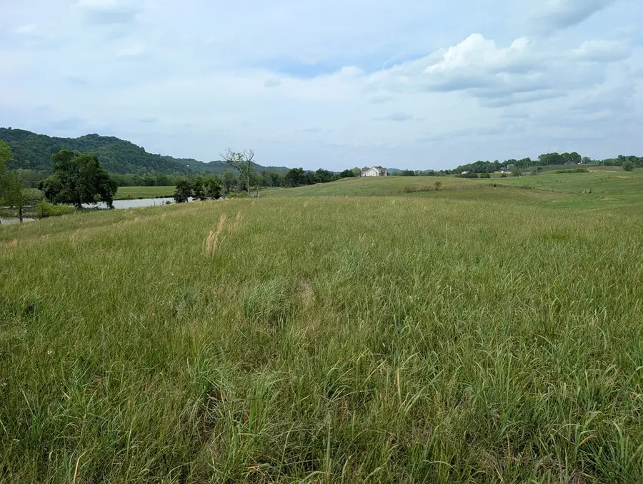 20 Rivertown Rd, Burkesville, KY 42717 - #2