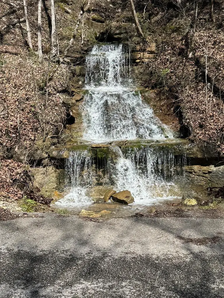 00 Sunk Cane Road, Crawford, TN 38554 - #2