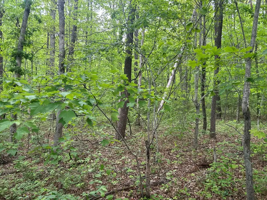 RT Davis 0, Spencer, TN 38585-5418 - #3