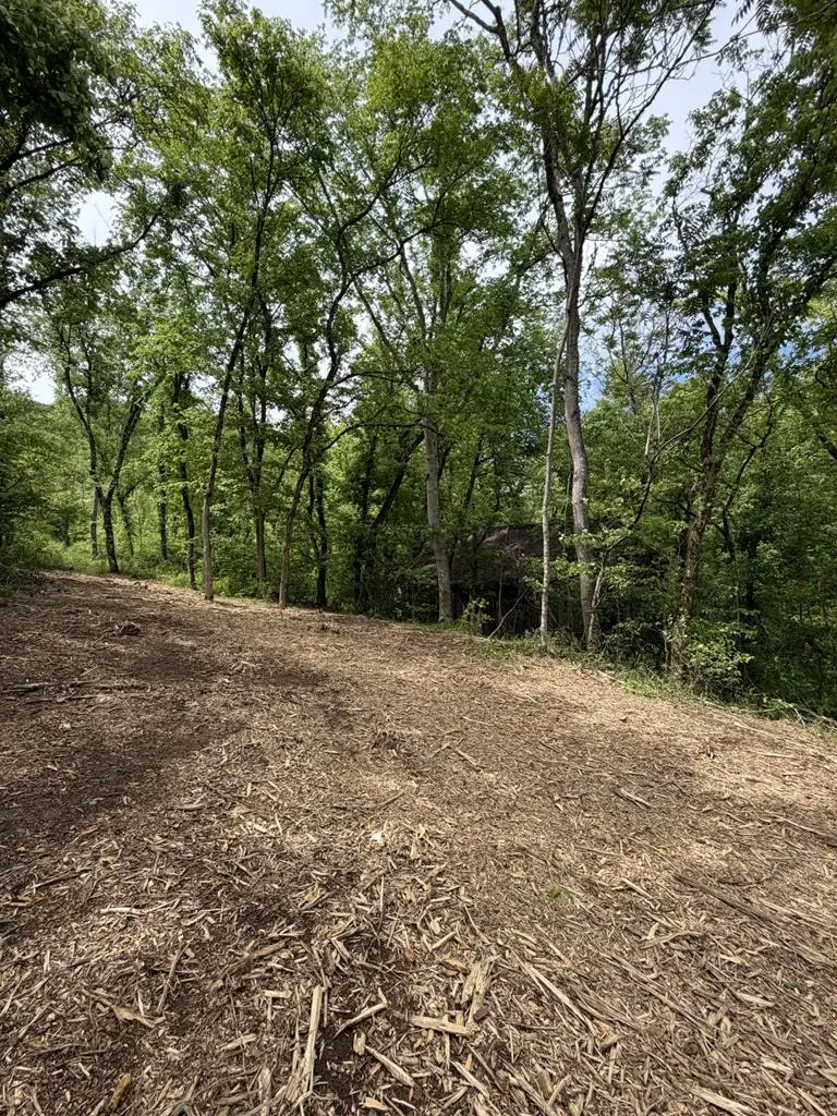 0 Long Branch Road, Lancaster, TN 38569 - #3