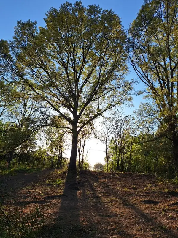 0 Bone Cave Rd., Rock Island, TN 38581