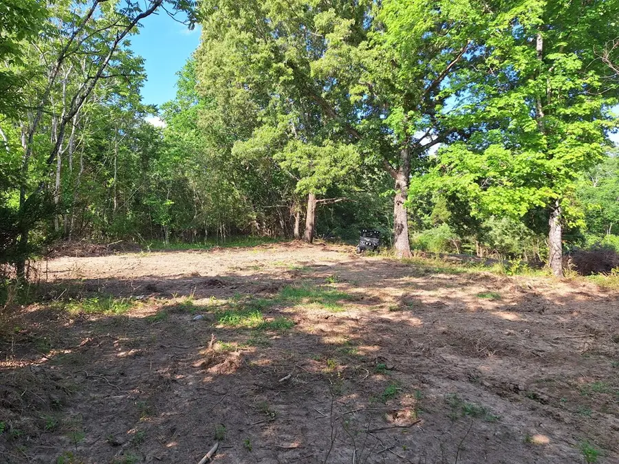 0 Bone Cave Rd., Rock Island, TN 38581 - #3
