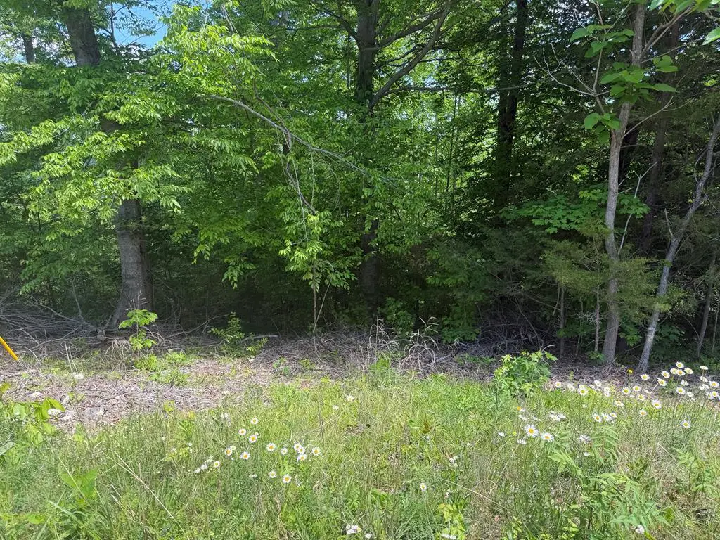 50.82 ac Buzzard Roost Rd, Jamestown, TN 38556 - #1