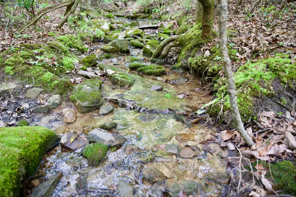 1.2AC Coyote Trail, Spencer, TN 38585 - #1