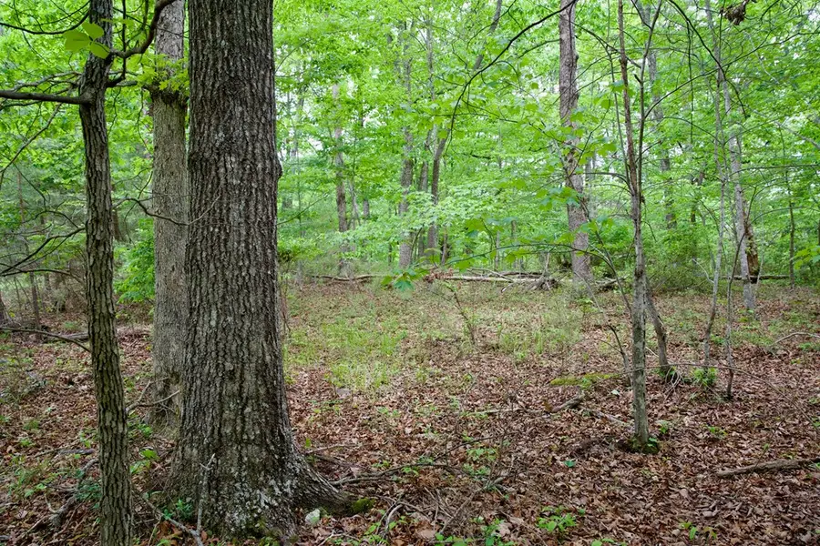 1.2AC Coyote Trail, Spencer, TN 38585 - #3