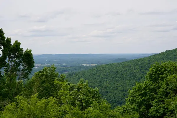 1.53AC Valley View Lane, Spencer, TN 38585