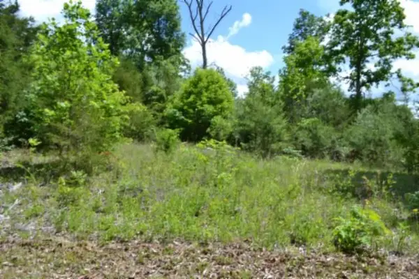 31.22ac Beauchamp Rd, BURKESVILLE, KY 42717