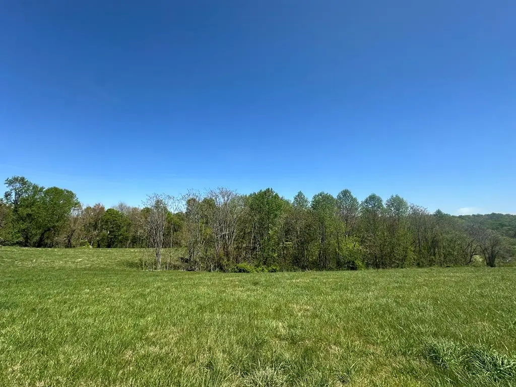 Lot 9&10 H O Allison, Baxter, TN 38544 - #1