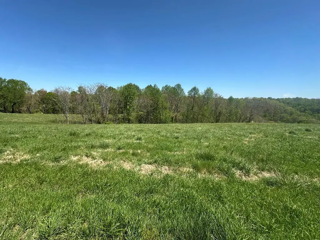 Lot 10 H O Allison, Baxter, TN 38544 - #1