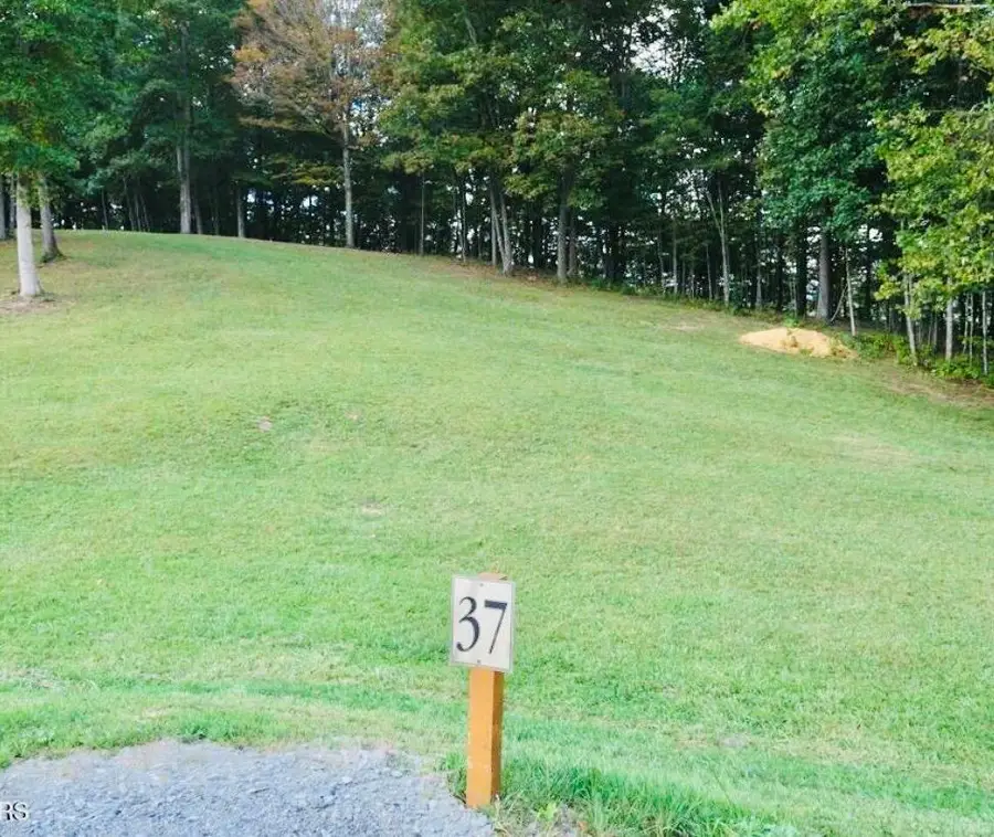 LOT 37 Summerfield, Butler, TN 37640 - #3