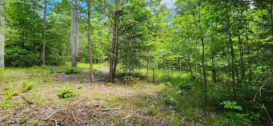 Lot 134 Hillis Cemetery Rd, Spencer, TN 38585 - #2