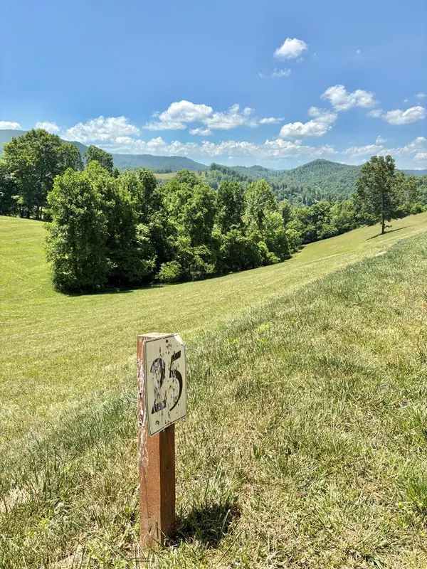 LOT 25 Draft, BUTLER, TN 37640