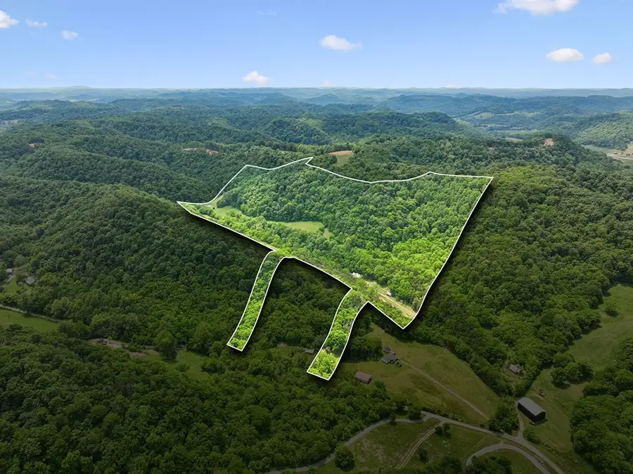 34 Friendship Hollow Rd N, Pleasant Shade, TN 37145 - #2