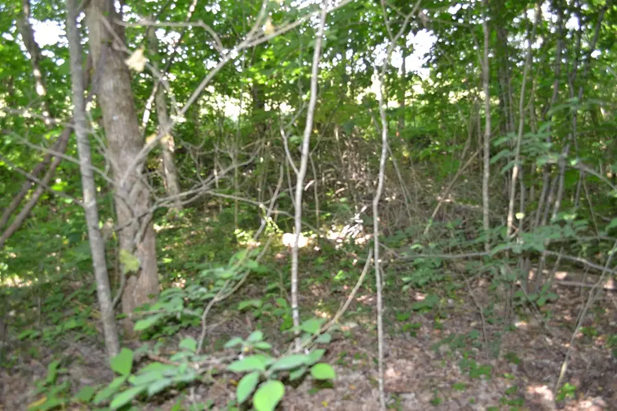 5ac Dynamite Lane, Livingston, TN 38570 - #2