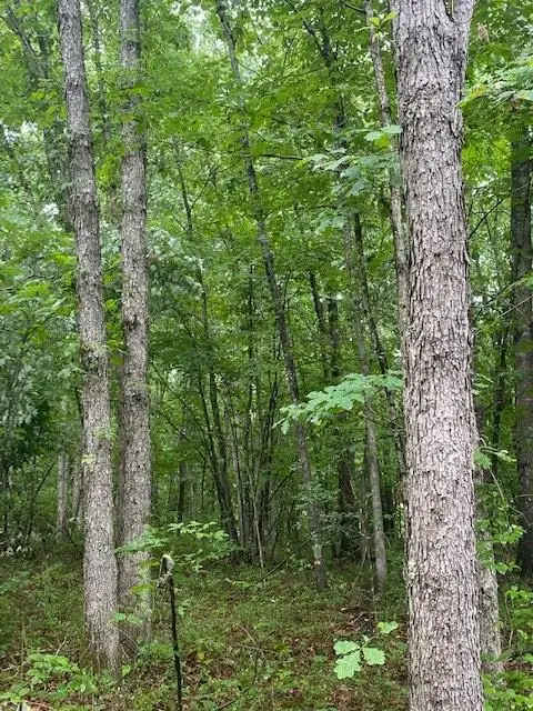 Lot 5 Cooktown Rd, Wilder, TN 38589 - #2