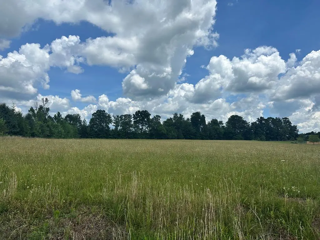 301 Rolling Meadows Ln, Rickman, TN 38580 - #1