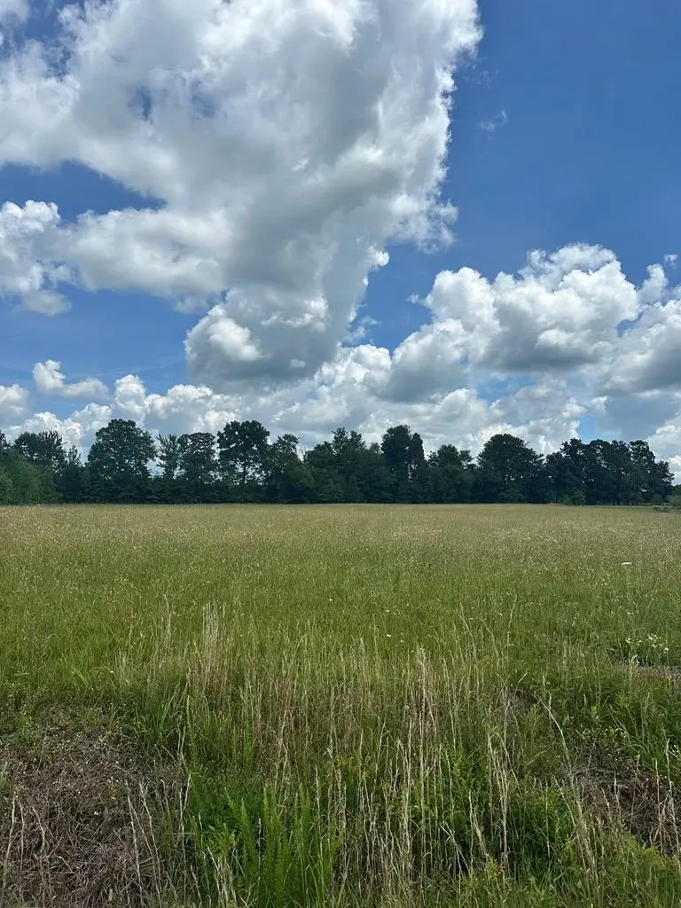 301 Rolling Meadows Ln, Rickman, TN 38580 - #3