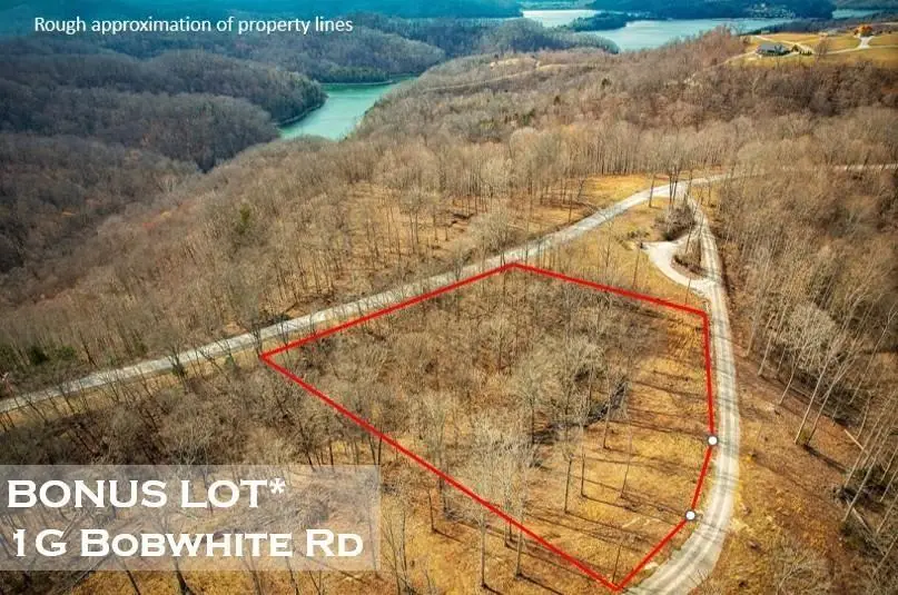 1G Bobwhite, Hilham, TN 38568 - #1