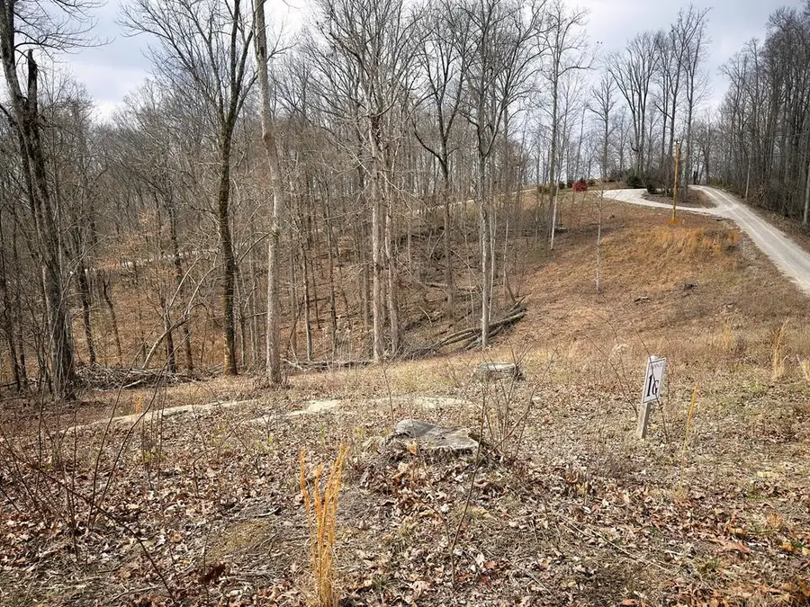 1G Bobwhite, Hilham, TN 38568 - #2