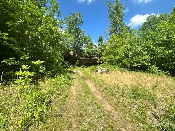 00 Bear Knob Ln, CRAWFORD, TN 38554