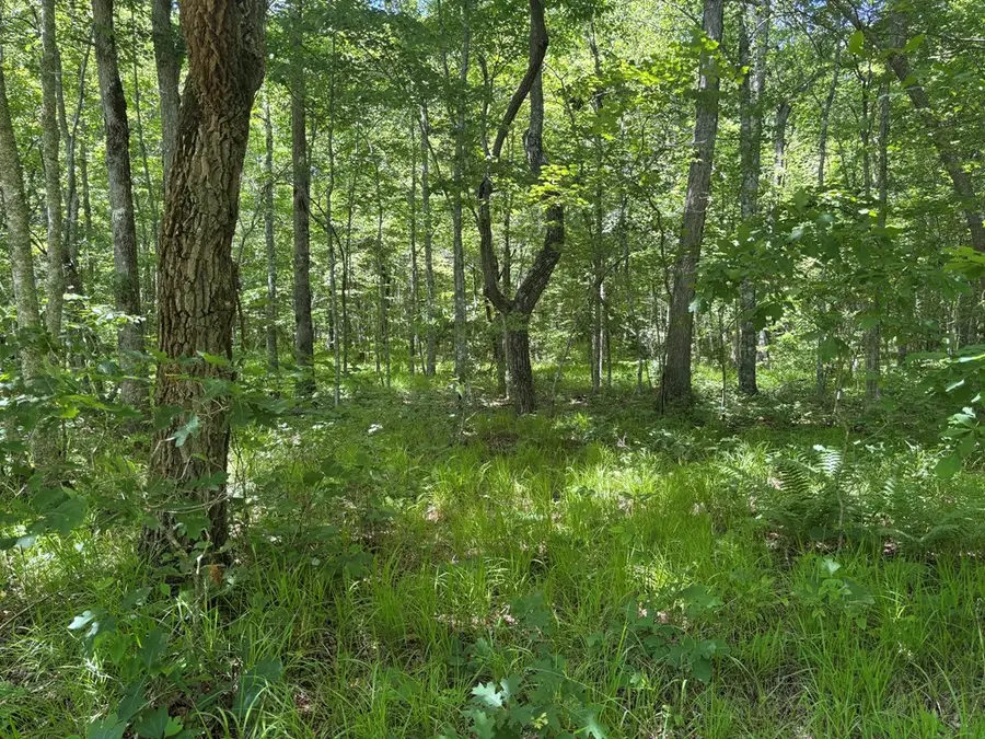 Lot 257 Buck Circle, Spencer, TN 38585 - #2