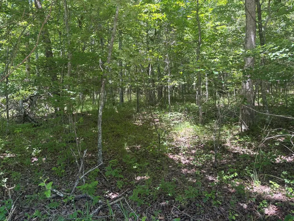 Lot 251 Buck Circle, Spencer, TN 38585 - #1