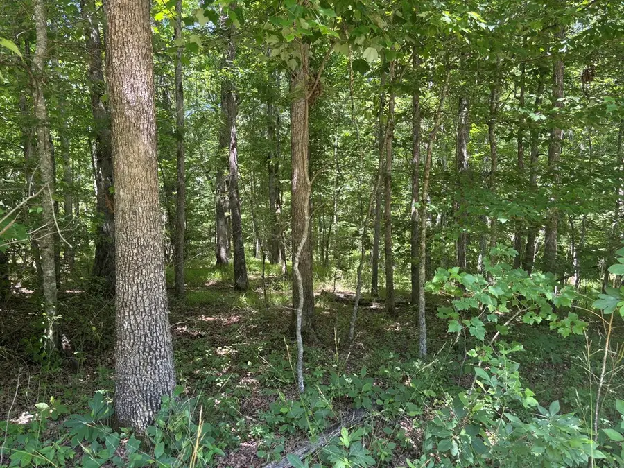 Lot 247 Buck Circle, Spencer, TN 38585 - #2