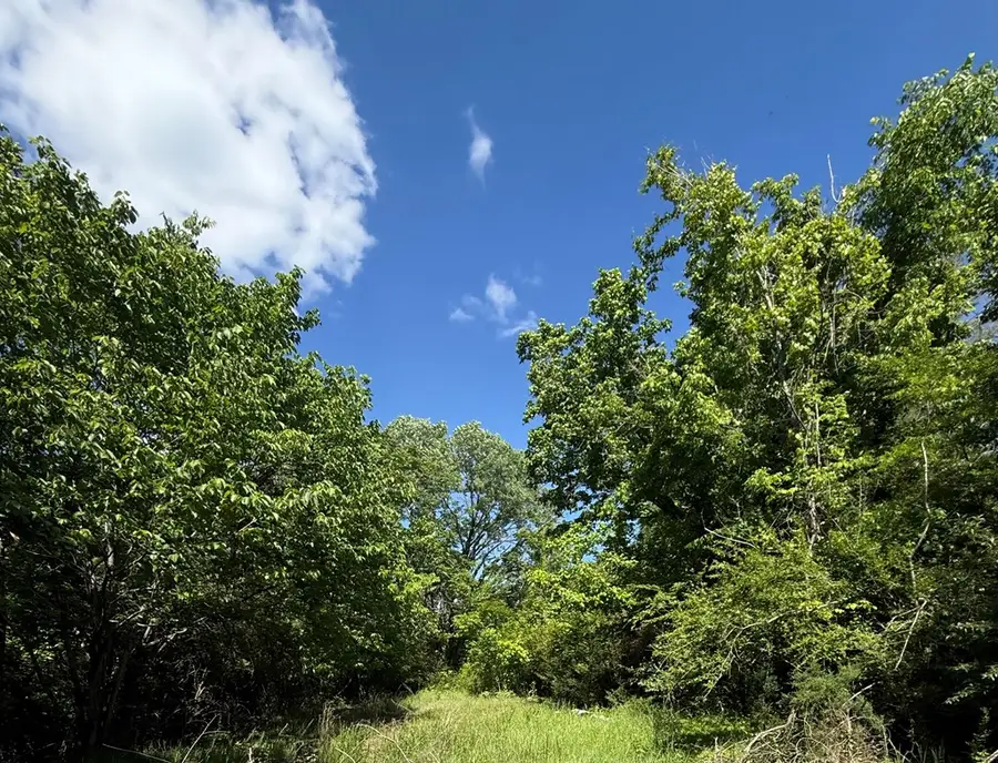 845 Lakeview Dr, Gainesboro, TN 38562 - #2