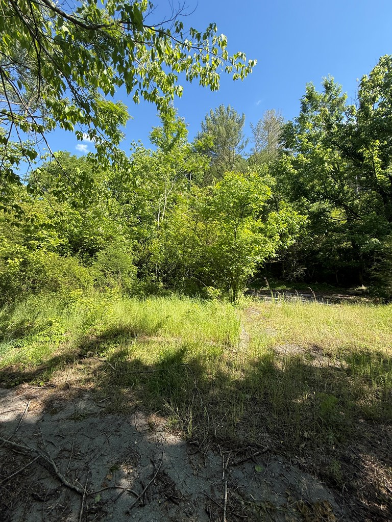 845 Lakeview Dr, Gainesboro, TN 38562 - #3
