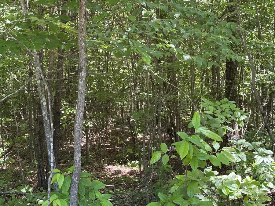 Lot 235 Long Branch Road, Spencer, TN 38585 - #2