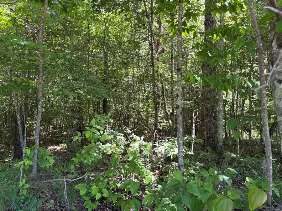 Lot 235 Long Branch Road, Spencer, TN 38585 - #3