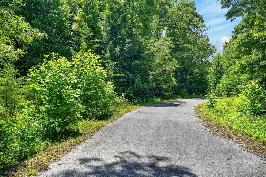 0 Shotgun Annie Rd, Jamestown, TN 38556 - #2
