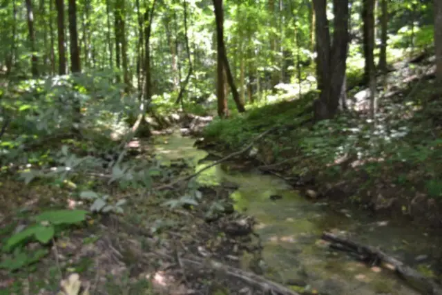 2390 Pea Ridge Fire Tower Rd, Celina, TN 38551 - #3