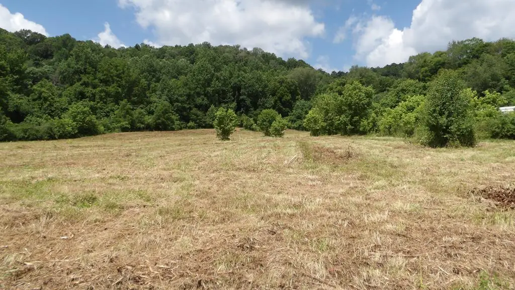 5.6ac Lonnie Reecer Rd, Celina, TN 38551 - #1