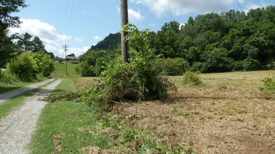 5.6ac Lonnie Reecer Rd, Celina, TN 38551 - #3