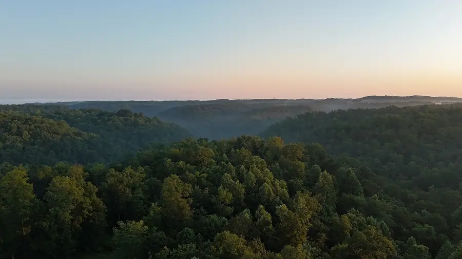 344 Runaway Ln, Gainesboro, TN 38562 - #2