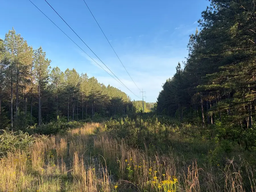 Lot 68 Black Bear Lane, Sunbright, TN 37872 - #3