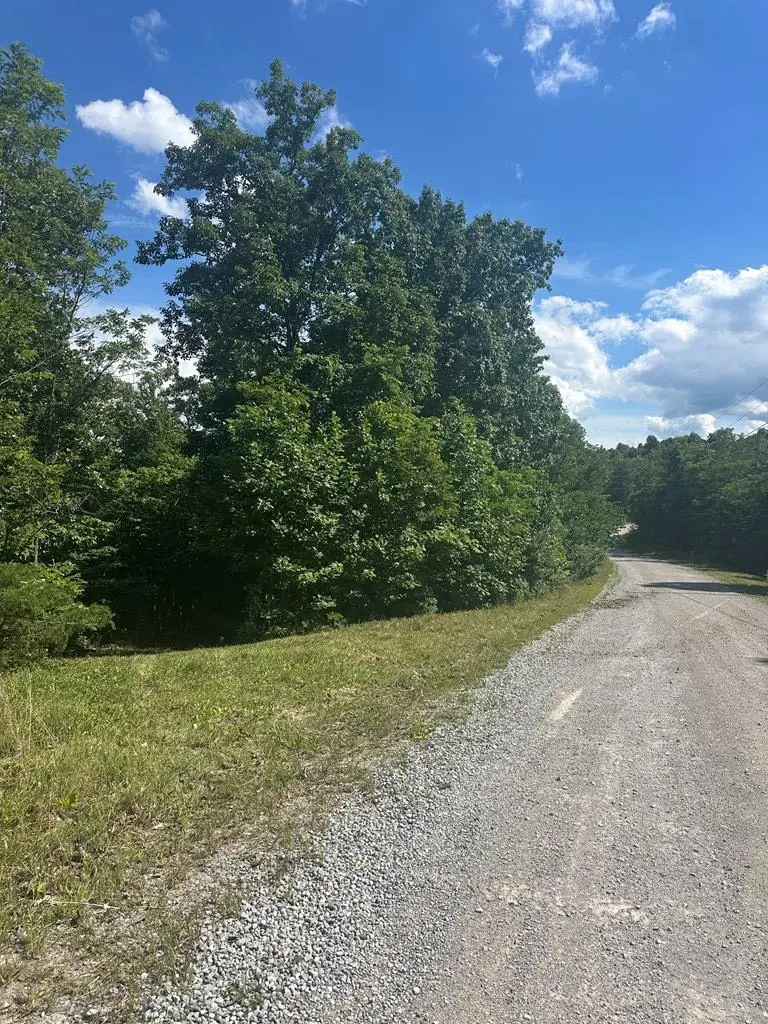 Lot 2 Buckeye Lane, Wilder, TN 38589 - #2
