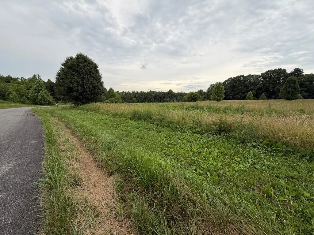 9.8 Ac Tyler Trail, Jamestown, TN 38556 - #1