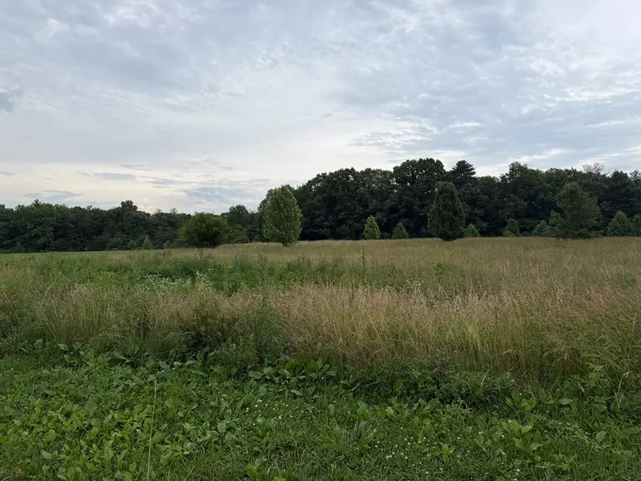 9.8 Ac Tyler Trail, Jamestown, TN 38556 - #3