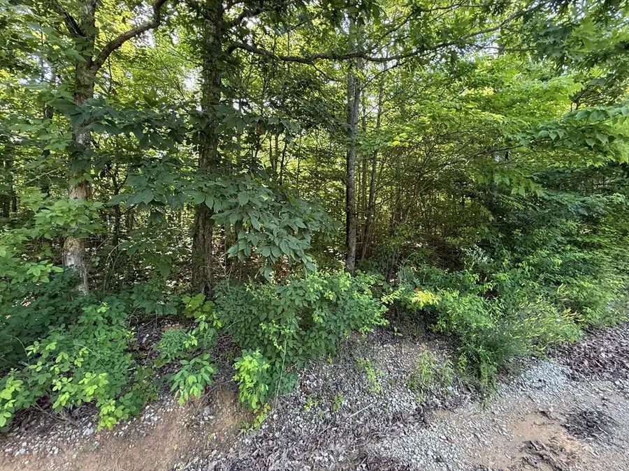 969 Lewallen Cemetery Road, Sunbright, TN 37872 - #3