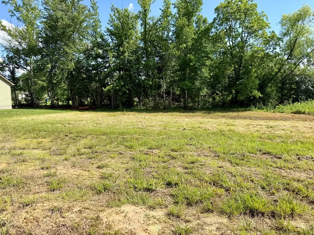 116 Regan Loop Lot 64, Baxter, TN 38544 - #1